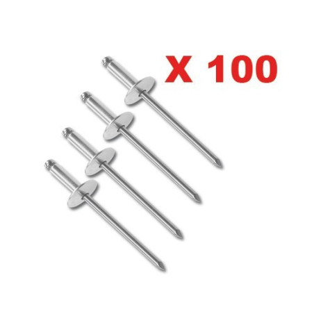 Rivets+5 modèles x 100 mehari