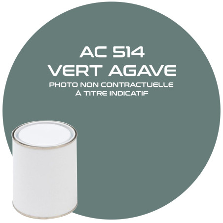PEINTURE AC 514 VERT AGAVE ANNEE 65.66  1L