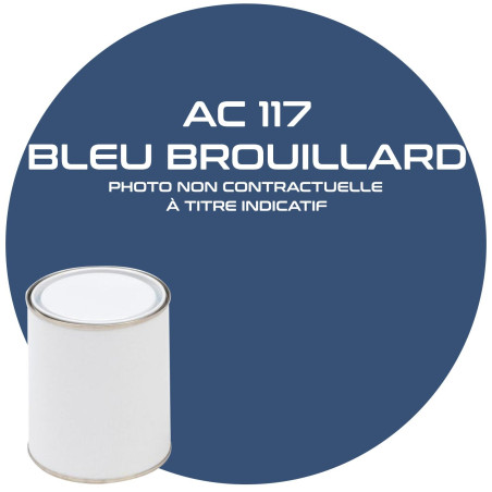 PEINUTRE AC 117 BLEU BROUILLARD ANNEE 66  1L