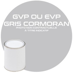 PEINTURE GVP OU EVP GRIS CORMORAN ANNEE 84.85.86.87.88   1L