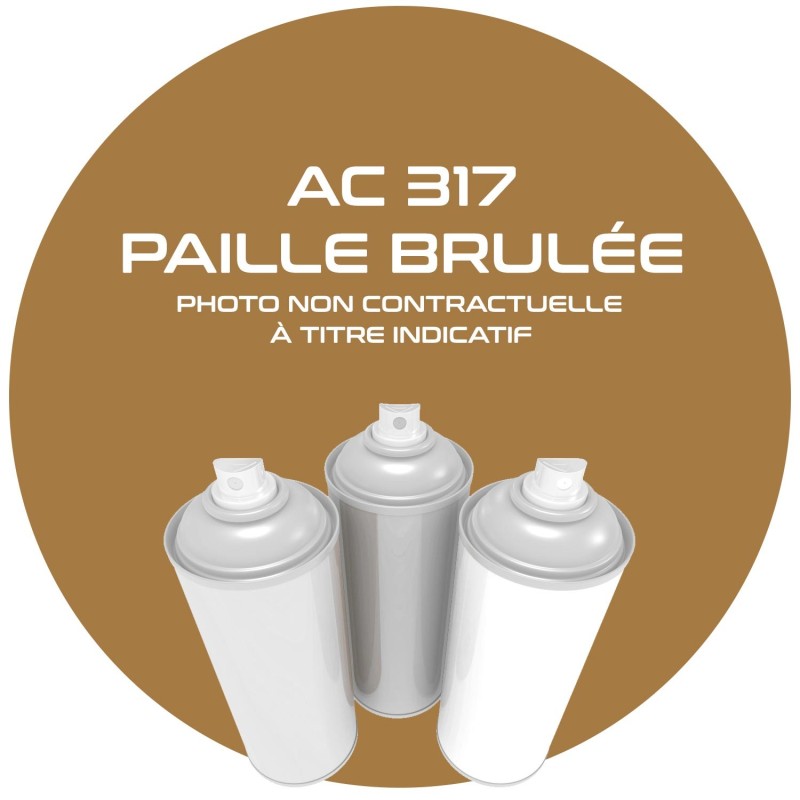 AEROSOL PAILLE BRULEE AC 317 ANNEE 70 400 ML
