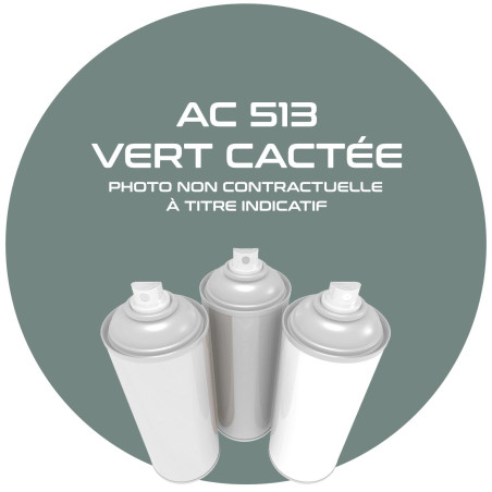 AEROSOL VERT CACTEE ANNEE 69 400 ML