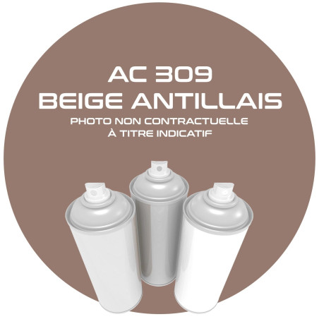 AEROSOL BEIGE ANTILLAIS AC 309 ANNEE 63 . 400 ML