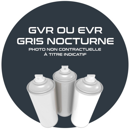 AEROSOL GRIS NOCTURNE GVR OU EVR ANNEE 84.85.86.87.88.89.90. 400 ML.