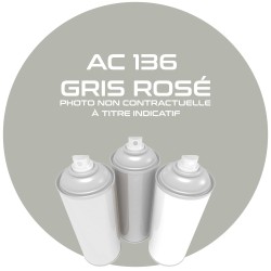 AEROSOL GRIS ROSE.16740....