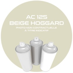 AEROSOL BEIGE HOGGARD AC...