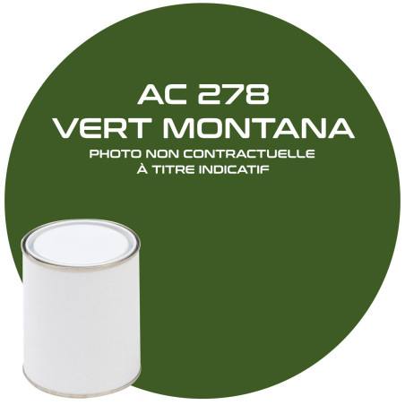PEINTURE AC 278 VERT MONTANA 1 LT ou ac 405