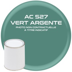 PEINTURE AC527 VERT ARGENTE DS CITROEN