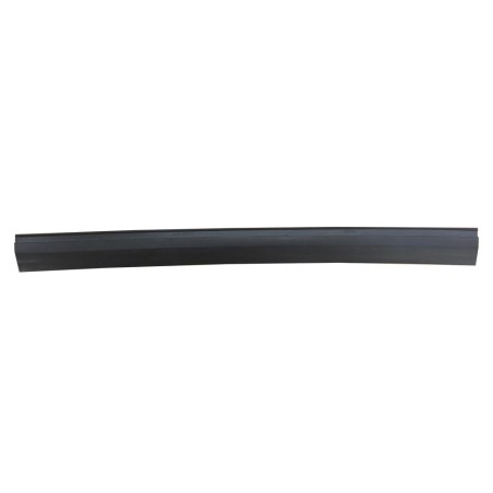 INSERT CAOUTCHOUC GLISSIÈRE COULISSEAU DOUBLE VITRE AMI 6 ARRIÈRE DROITE