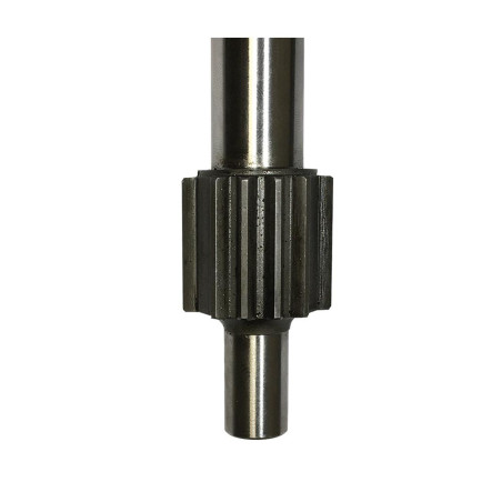 ARBRE DU BALADEUR RAPPORT 2EME/3EME NEUF