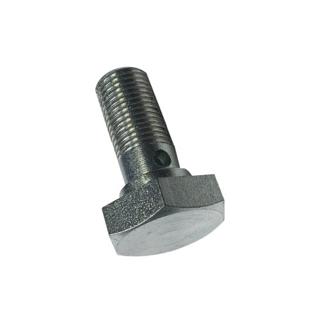 VIS POUR RACCORD BANJO MODÈLE LONG (30MM)