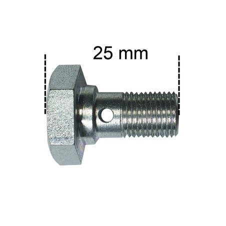 VIS POUR RACCORD BANJO MODÈLE  (25MM)
