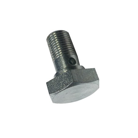 VIS POUR RACCORD BANJO MODÈLE  (25MM)