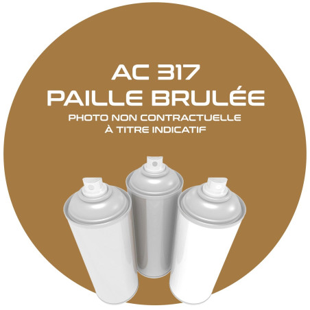 AEROSOL PAILLE BRULEE AC 317   400 ML