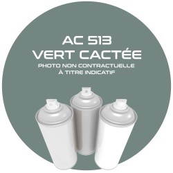 AEROSOL VERT CACTEE  AC513...