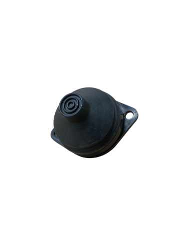 POMPE LAVE GLACE A PIED DYANE  ACADIANE