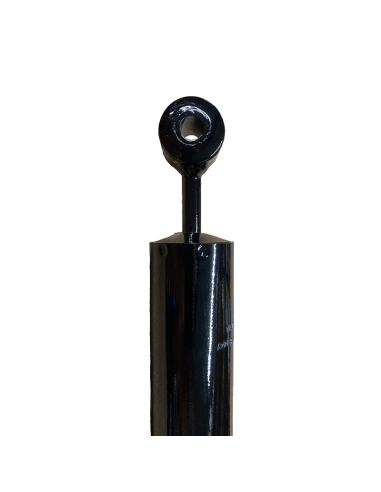 PAIRE D'AMORTISSEUR ARRIERE  12 DOUBLE EFFETS...