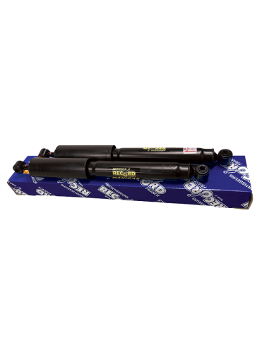 PAIRE D'AMORTISSEUR AVANT  GAZ ACADIANE- AMI...