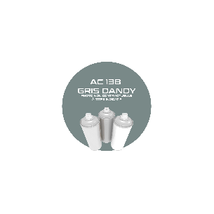 AEROSOL GRIS DANDY  AC138  400 ML