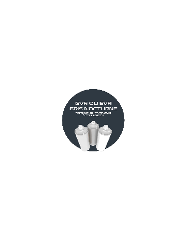 AEROSOL GRIS NOCTURE  AC099  400 ML